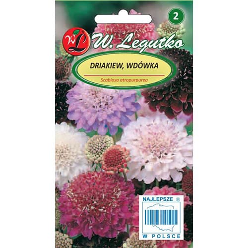 Hlaváč kavkazský, směs obrázek 1 artikel 87856