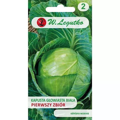 Hlávková kapusta bílá První sklizeň obrázek 1 artikel 69482
