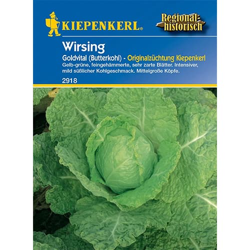 Hlávková kapusta Goldvital obrázek 1 artikel 96684