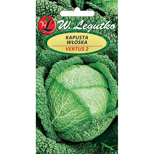 Hlávková kapusta Vertus 2 obrázek 1 artikel 78476
