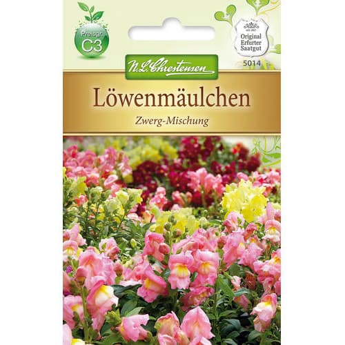 Hledík větší nízký, směs obrázek 1 artikel 78889