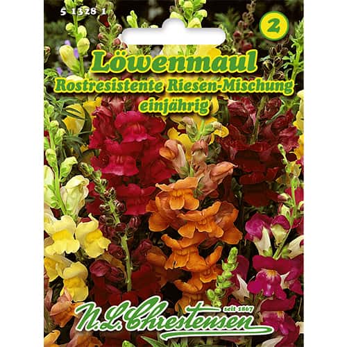 Hledík větší vysoký, směs obrázek 1 artikel 86118