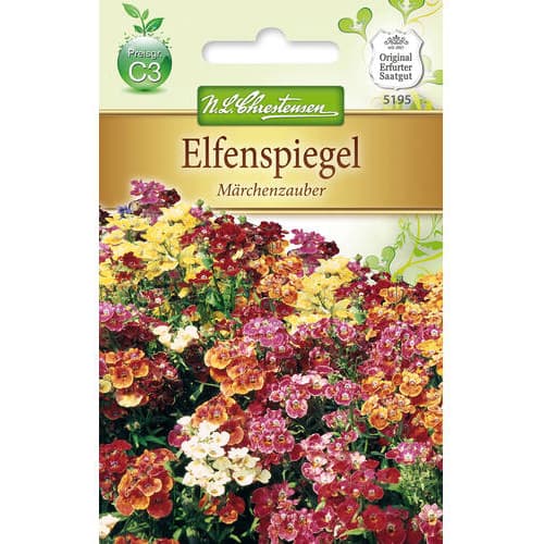 Hledíkovka zduřelá Marchenzauber obrázek 1 artikel 78925