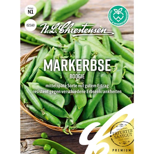 Hrách Boogie obrázek 1 artikel 86058