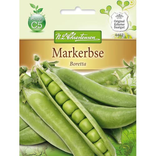 Hrách Boretta obrázek 1 artikel 78837