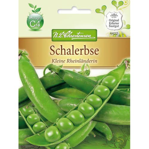 Hrách setý Kleine Rheinlanderin obrázek 1 artikel 78842