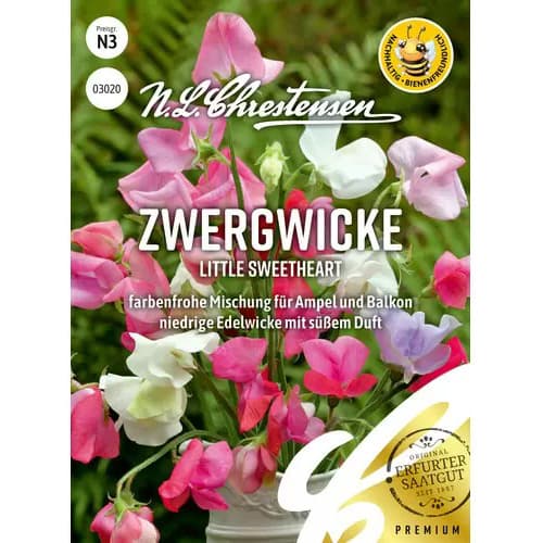 Hrách vonný Little Sweetheart obrázek 1 artikel 87352