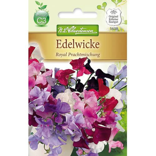 Hrách vonný Royal Prachtmischung obrázek 1 artikel 87813