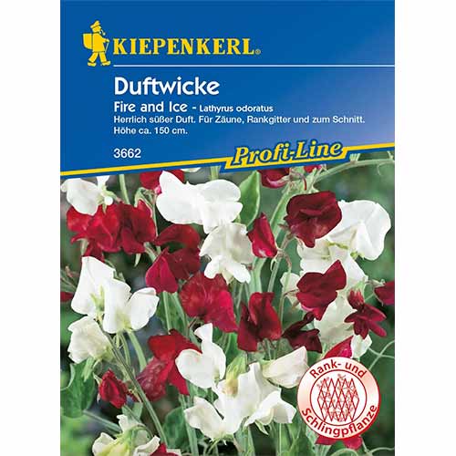 Hrachor vonný Fire and Ice obrázek 1 artikel 96530