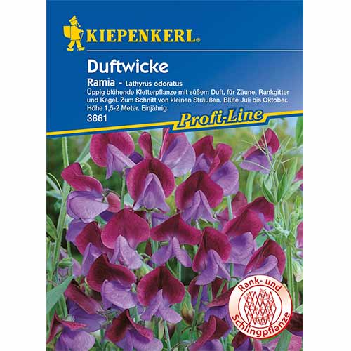 Hrachor vonný Ramia obrázek 1 artikel 96531