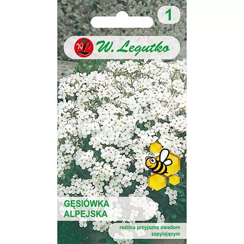 Huseník alpský, směs obrázek 1 artikel 87861