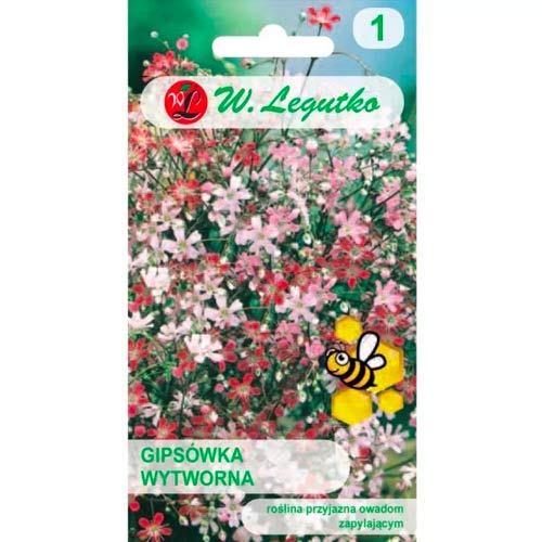 Huseník elegantní, směs obrázek 1 artikel 78557