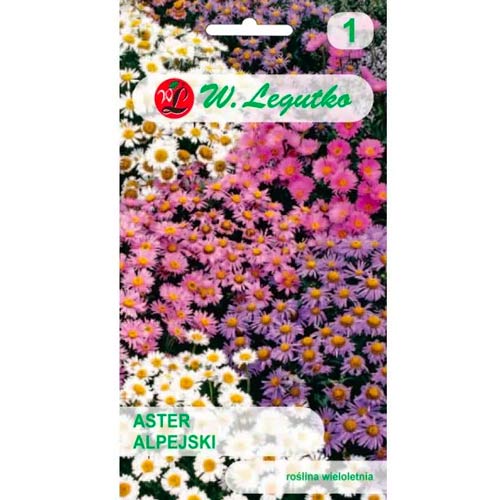 Hvězdnice alpská levandulově modrá obrázek 1 artikel 78596