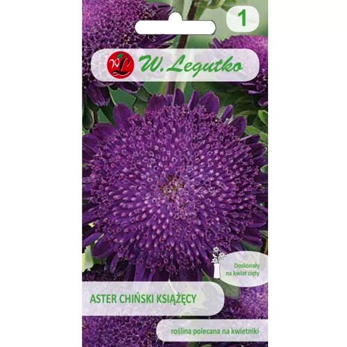 Hvězdnice čínská książęcy violet obrázek 1 artikel 78518