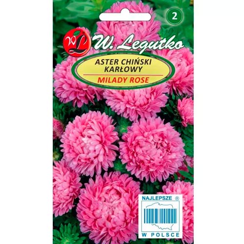 Hvězdnice čínská Milady Rose obrázek 1 artikel 69558