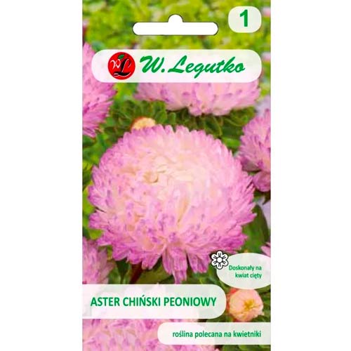 Hvězdnice čínská pivoňková bílo-růžová obrázek 1 artikel 78523