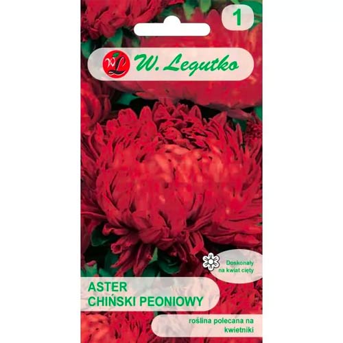 Hvězdnice čínská pivoňková czerwony obrázek 1 artikel 78525