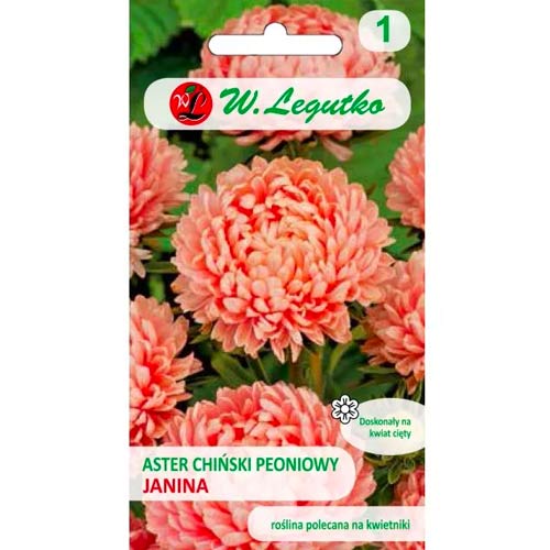 Hvězdnice čínská pivoňková Janina łososiowy obrázek 1 artikel 78522