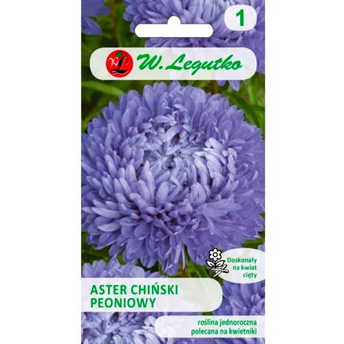 Hvězdnice čínská pivoňková niebieski obrázek 1 artikel 78527