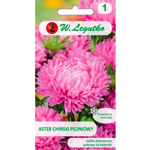 Hvězdnice čínská pivoňková różowy obrázek 1 artikel 78524