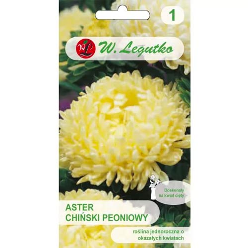 Hvězdnice čínská pivoňková żółty obrázek 1 artikel 78521