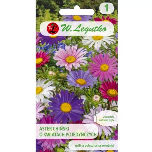 Hvězdnice čínská s jednotlivými květy Madeleine, směs obrázek 1 artikel 96693