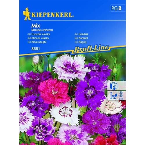 Hvozdík, směs barev obrázek 1 artikel 96562