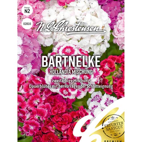 Hvozdík turecký Hollandia, směs obrázek 1 artikel 86123