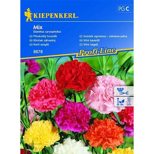 Hvozdík zahradní, směs barev artikel fotografie 1 Hvozdík zahradní, směs barev obrázek 1 artikel 96527