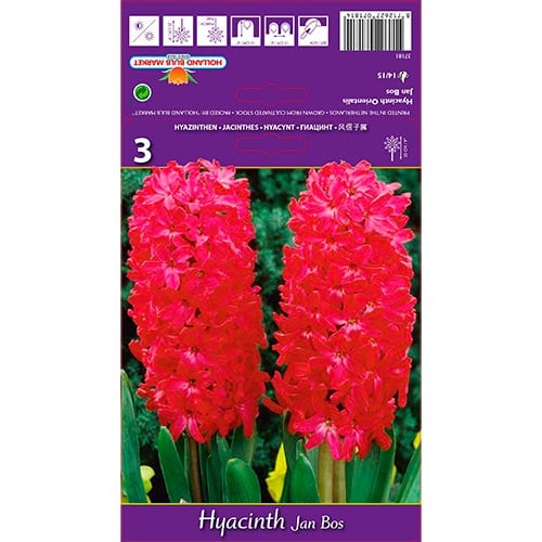 Hyacint Jan Bos obrázek 1 artikel 67596