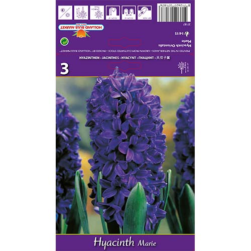 Hyacint Marie artikel fotografie 1 Hyacint Marie obrázek 1 artikel 67588