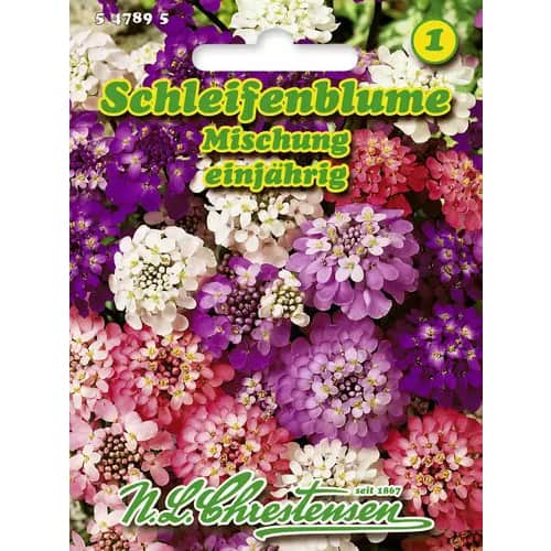 Iberka růžová, směs artikel fotografie 1 Iberka růžová, směs obrázek 1 artikel 96428