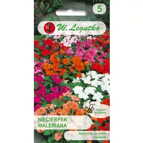Impatiens Valerian F2, směs obrázek 1 artikel 50113