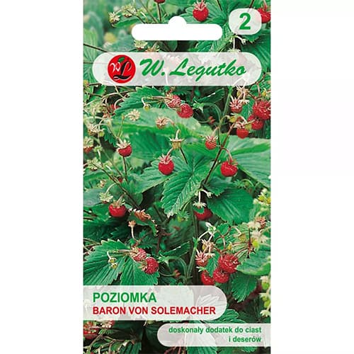 Jahoda lesní Baron von Solemacher obrázek 1 artikel 69529