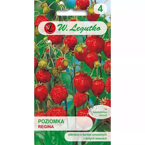 Jahoda lesní Regina artikel fotografie 1 Jahoda lesní Regina obrázek 1 artikel 86894