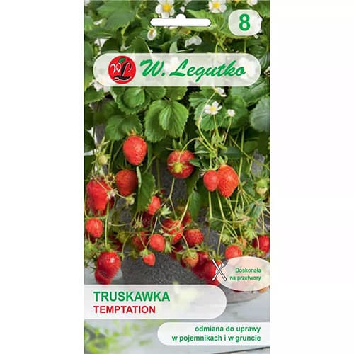 Jahoda Temptation obrázek 1 artikel 69548