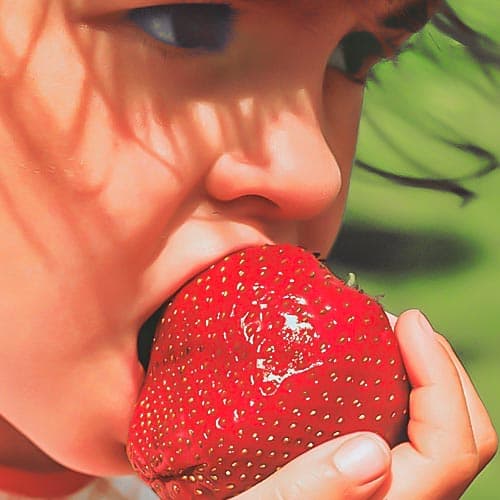 Jahoda Gigant artikel fotografie 1 Jahoda Gigant obrázek 1 artikel 9812