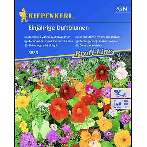 Jednoleté vonné květiny, směs barev obrázek 1 artikel 96528