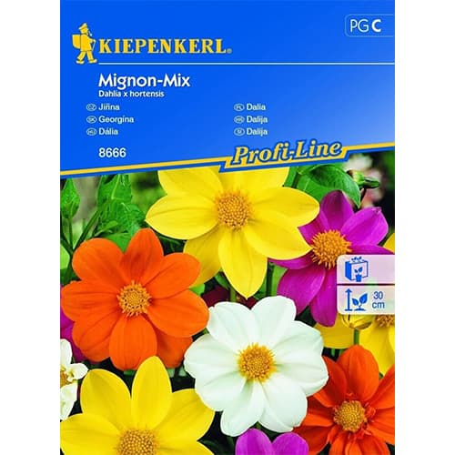 Jiřina Mignon, směs barev obrázek 1 artikel 96525