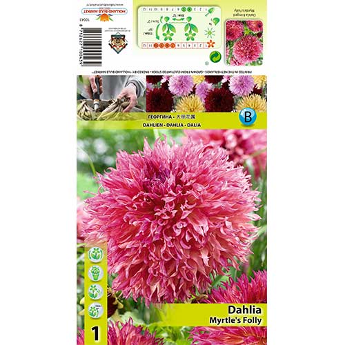 Jiřina Myrtle’s Folly artikel fotografie 1 Jiřina Myrtle’s Folly obrázek 1 artikel 70482