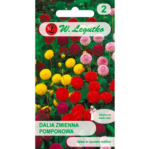 Jiřina pestrá pomponská, směs obrázek 1 artikel 50091