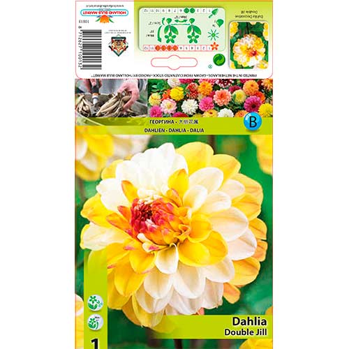 Jiřina Double Jill obrázek 1 artikel 76563