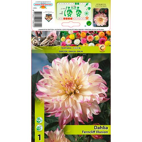 Jiřina Ferncliff Illusion obrázek 1 artikel 76579