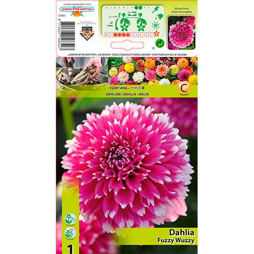 Jiřina Fuzzy Wuzzy obrázek 1 artikel 76580