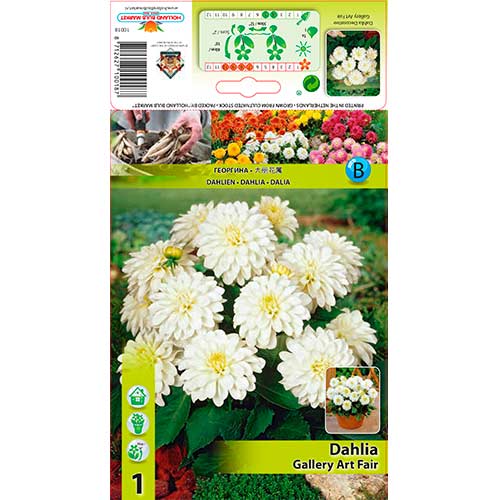 Jiřina Gallery Art Fairy obrázek 1 artikel 76208