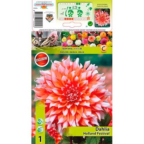 Jiřina Holland Festival artikel fotografie 1 Jiřina Holland Festival obrázek 1 artikel 76581