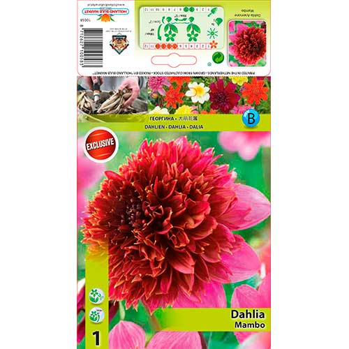 Jiřina Mambo obrázek 1 artikel 76214