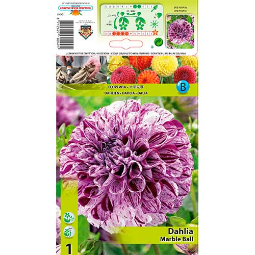 Jiřina Marble Ball obrázek 1 artikel 76215