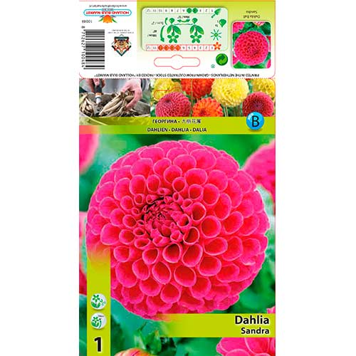 Jiřina Sandra obrázek 1 artikel 76576