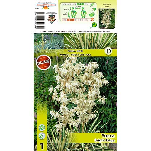 Juka vláknitá Bridge Edge obrázek 1 artikel 70456